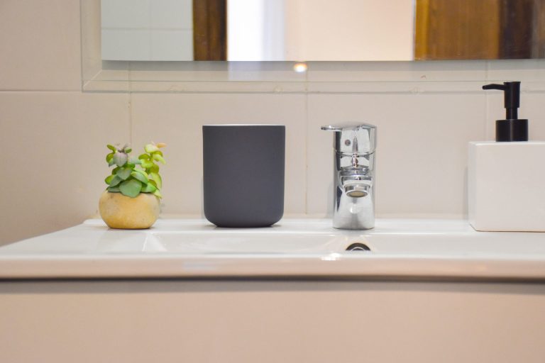 Lavabo del bany amb planta i dispensador de sabó a l'apartament SKY de Grün Estudis, Pas de la Casa